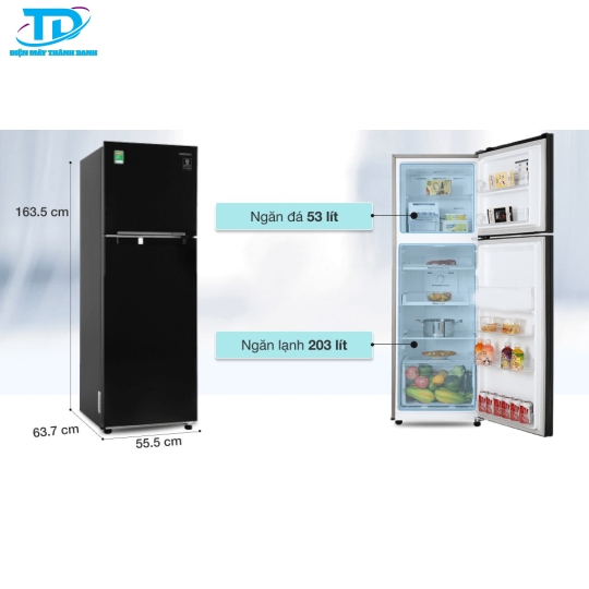 Tủ lạnh Samsung Inverter 256 lít RT25M4032BU/SV