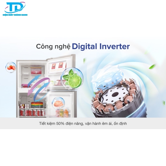 Tủ lạnh Samsung Inverter 208 lít RT19M300BGS/SV