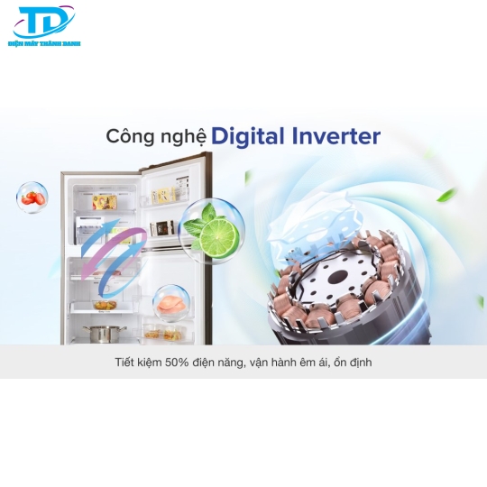 Tủ lạnh Samsung Inverter 256 lít RT25M4032BU/SV