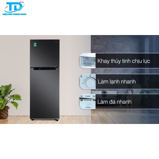 Tủ lạnh Samsung Inverter 302 Lít RT29K503JB1/SV