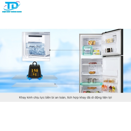Tủ lạnh Samsung Inverter 256 lít RT25M4032BU/SV