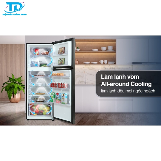 Tủ lạnh Samsung Inverter 302 Lít RT29K503JB1/SV