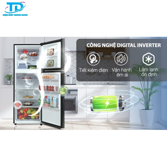 Tủ lạnh Samsung Inverter 302 Lít RT29K503JB1/SV