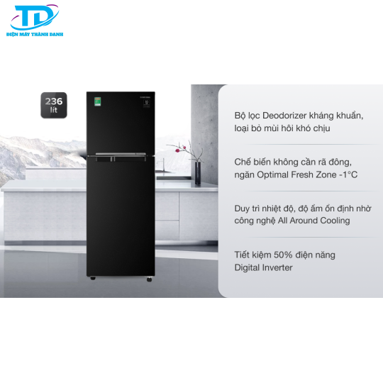 Tủ lạnh Samsung Inverter 236 lít RT22M4032BU/SV 