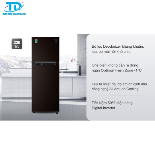 Tủ lạnh Samsung Inverter 236 lít RT22M4032BY/SV