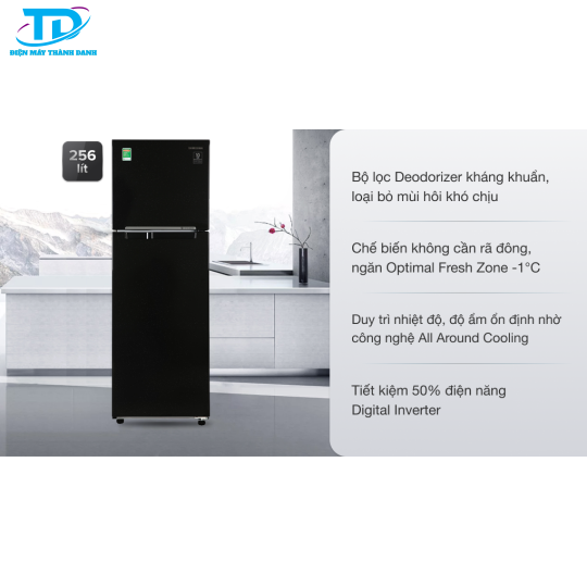 Tủ lạnh Samsung Inverter 256 lít RT25M4032BU/SV