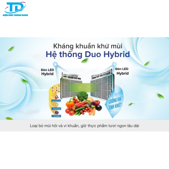 Tủ lạnh Toshiba Inverter 555 lít GR-AG58VA XK