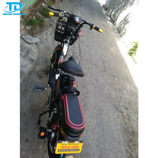 XE LẮP RÁP MAXI E BIKE
