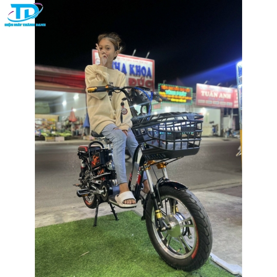 XE LẮP RÁP MAXI E BIKE