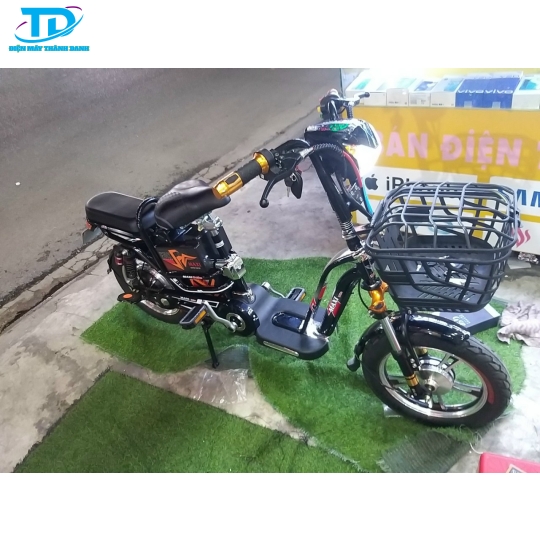 XE LẮP RÁP MAXI E BIKE