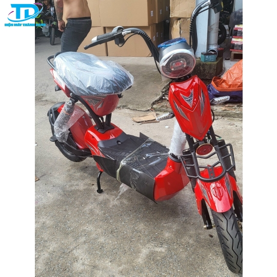 XE LẮP LẮP RÁP MẪU ĐẦU BÒ